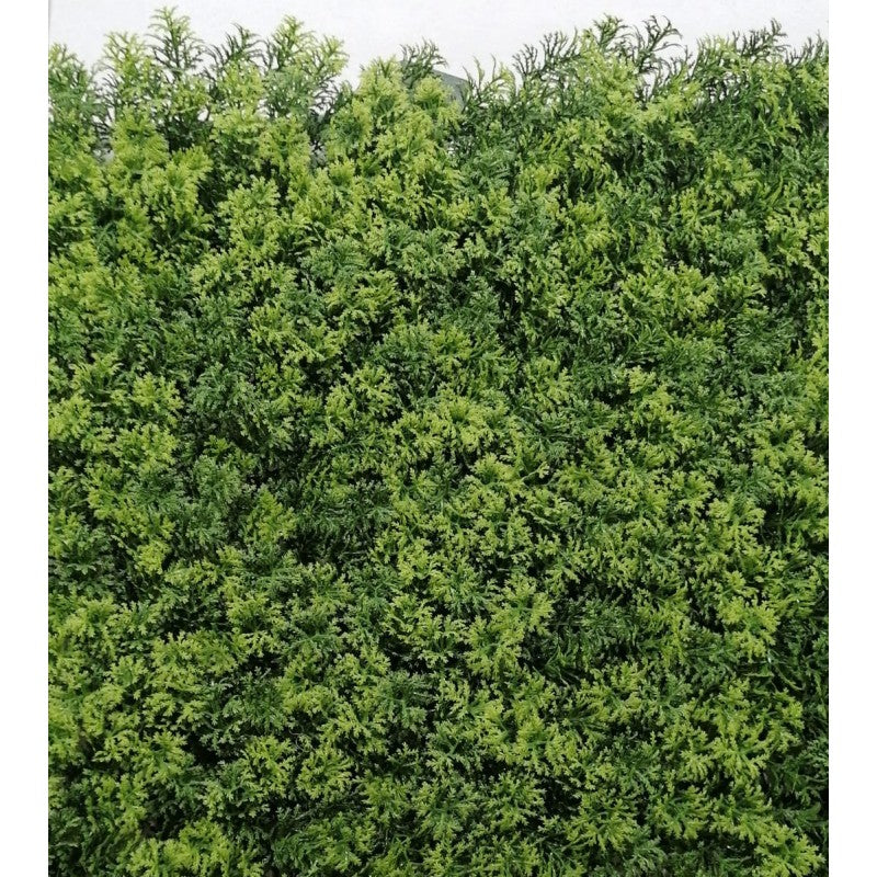 Siepe artificiale 50x50 cm Lichene | Xone