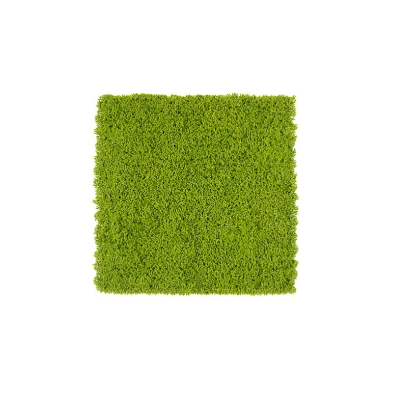 Siepe artificiale 50x50 cm Muschio | Xone
