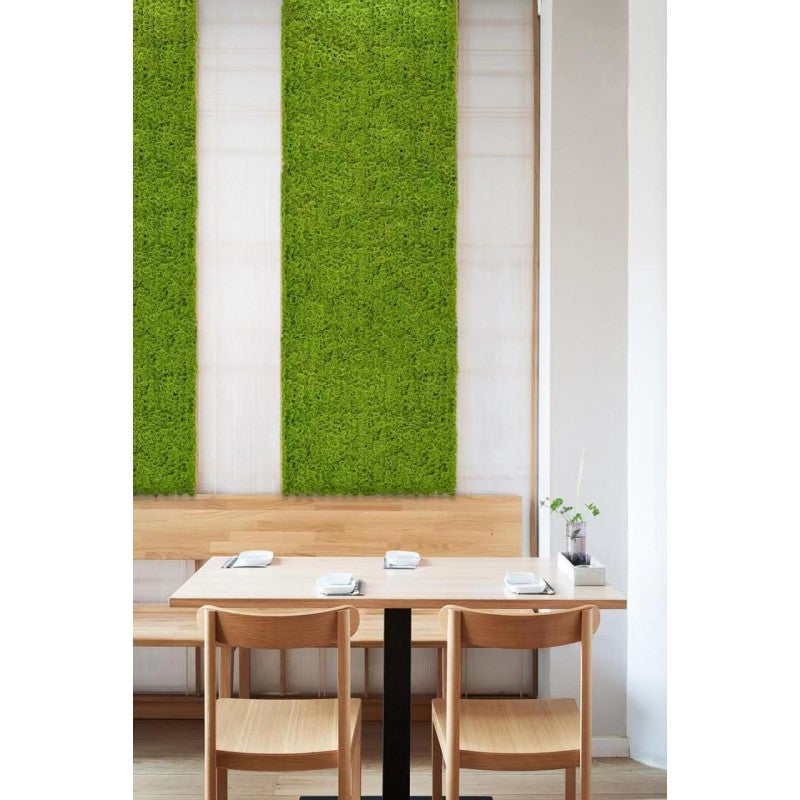 Siepe artificiale 50x50 cm Muschio | Xone