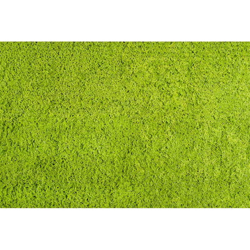 Siepe artificiale 50x50 cm Muschio | Xone