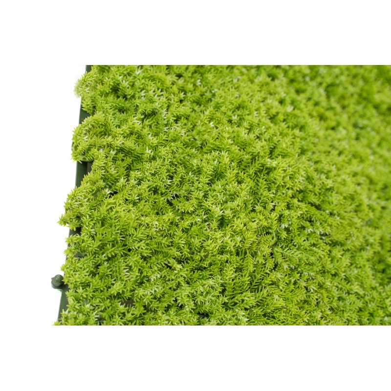 Siepe artificiale 50x50 cm Muschio | Xone