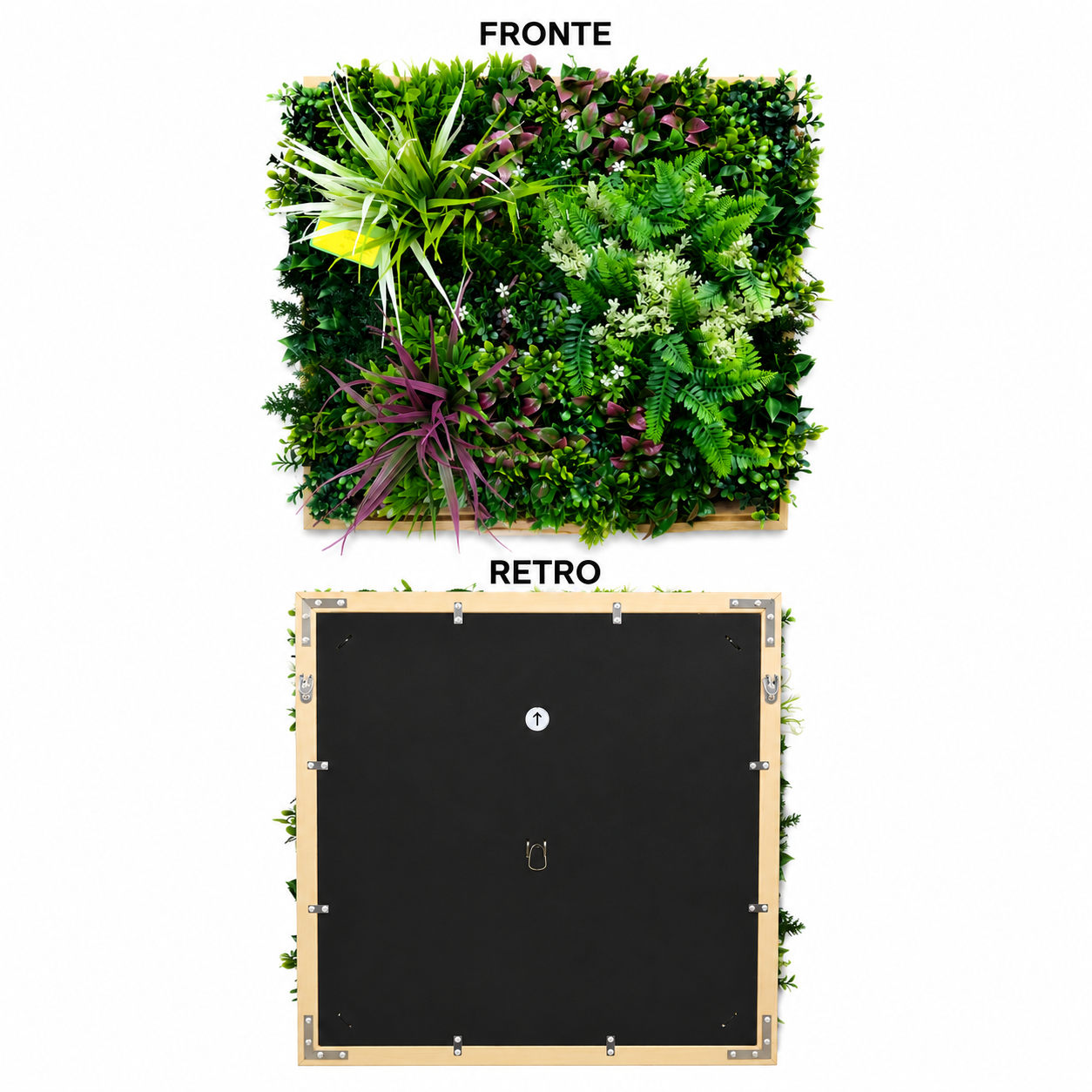Siepe Quadro Verde Artificiale Decorativo Summer Frame 50x50cm | Xone