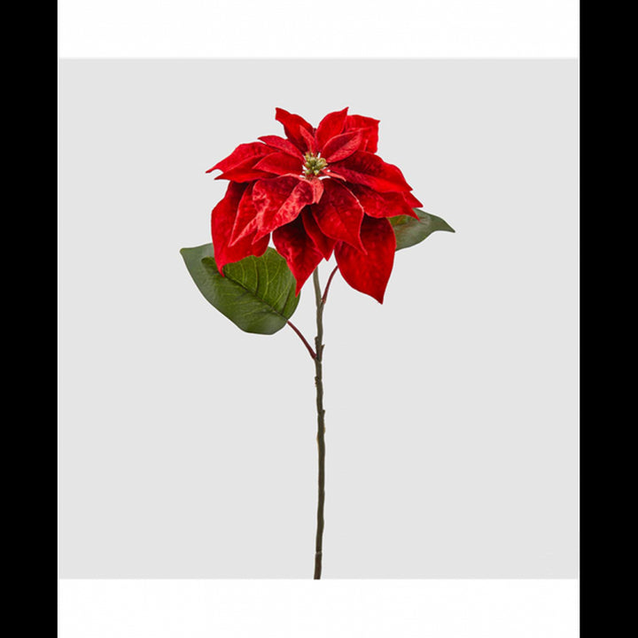 Stella Natale Bell Ramo H71 Rossa | EDG