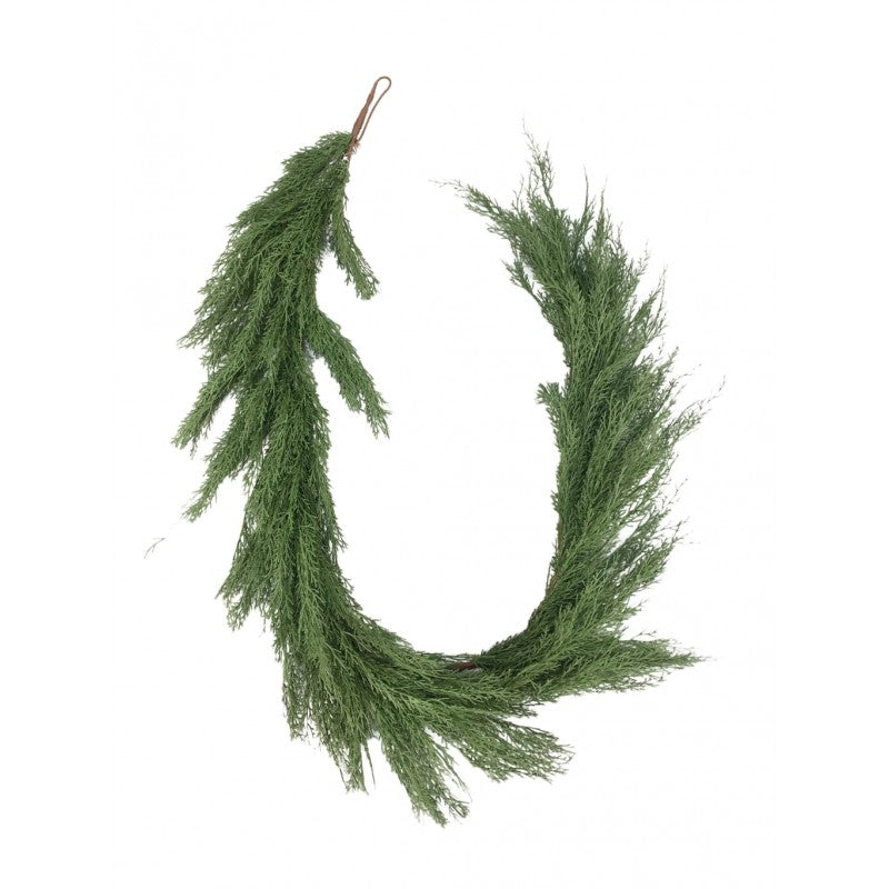 Tralcio in Cipresso Barneys By Salvatore Izzo