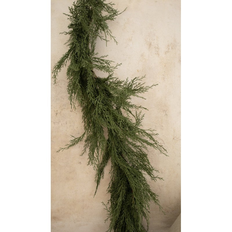 Tralcio in Cipresso Barneys By Salvatore Izzo