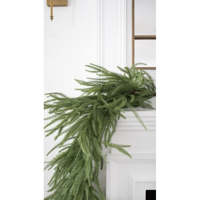 Tralcio in Pino Patrick By Salvatore Izzo