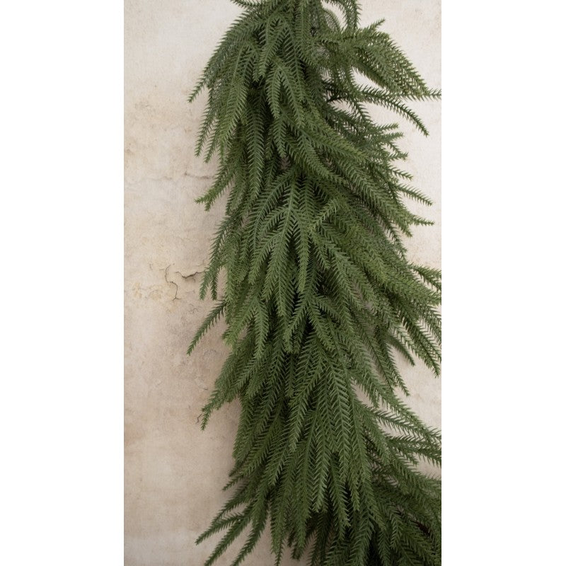 Tralcio in Pino Patrick By Salvatore Izzo