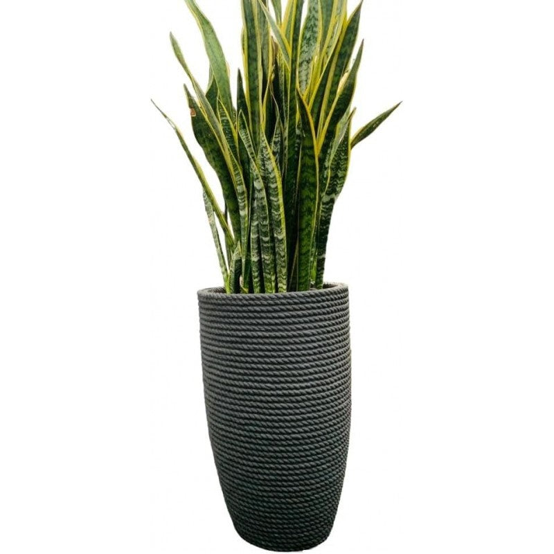 Tronco Conico Bali effetto corda h70 cm