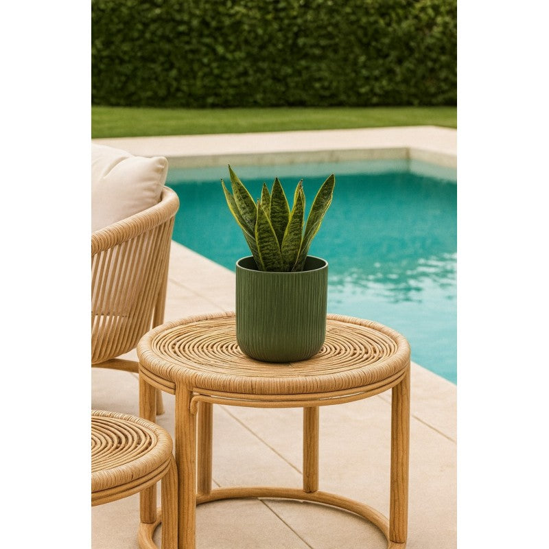 Vaso ceramica rigato salvia | EDG