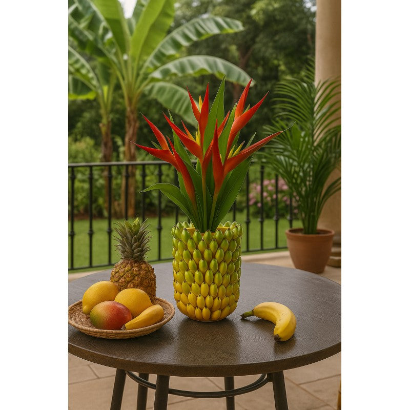 Vaso Chakra Banane| EDG