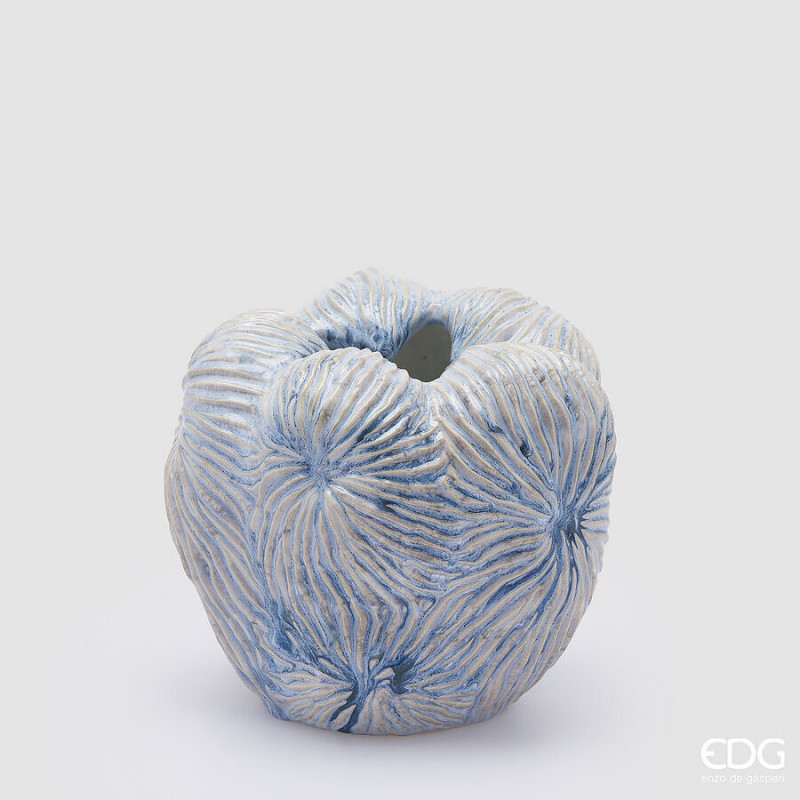 Vaso Chakra marino| EDG