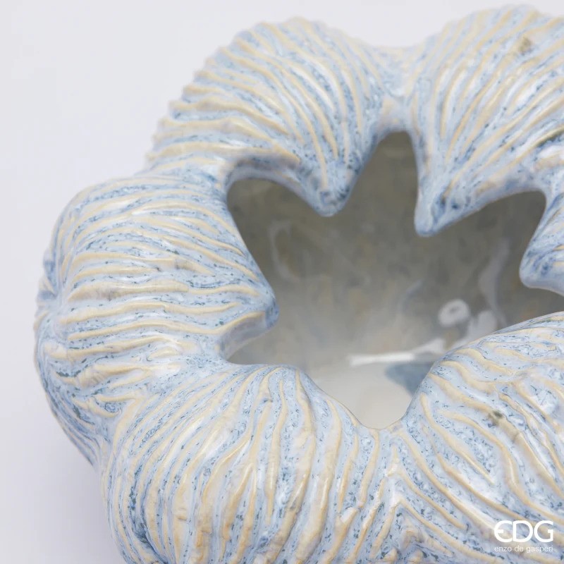 Vaso Chakra marino| EDG