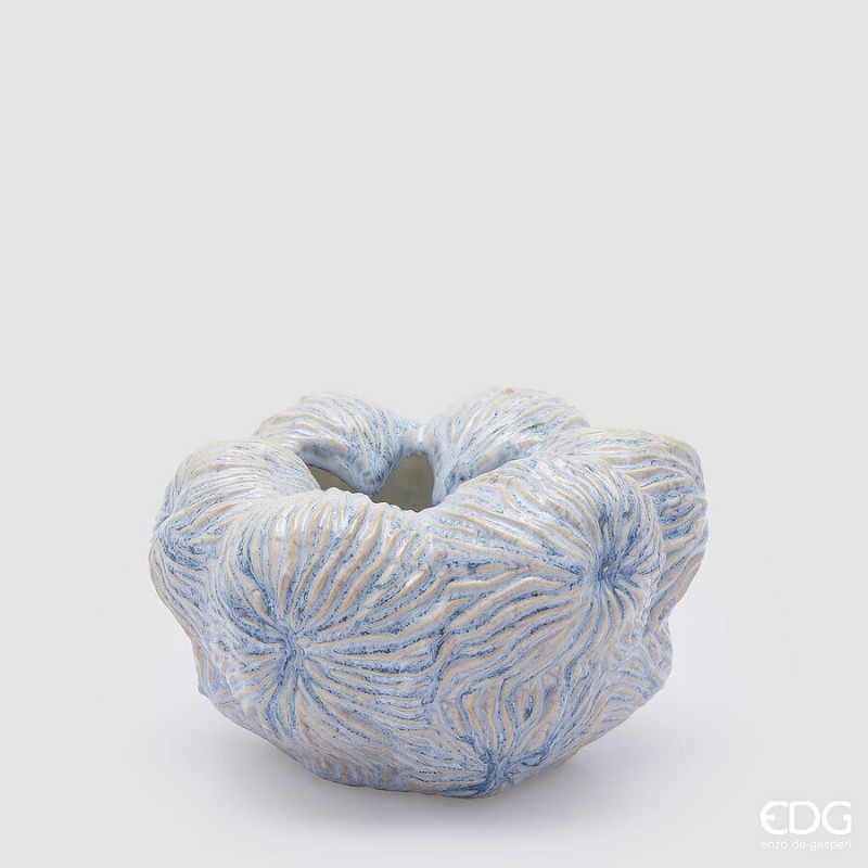 Vaso Chakra marino| EDG