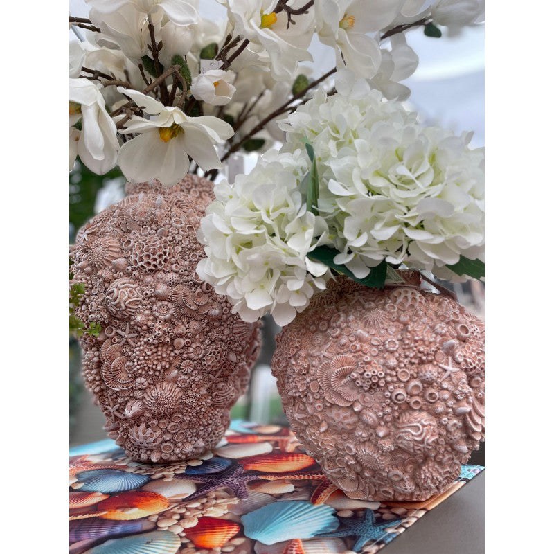 Vaso Conchiglie Champagne | Enzo De gasperi