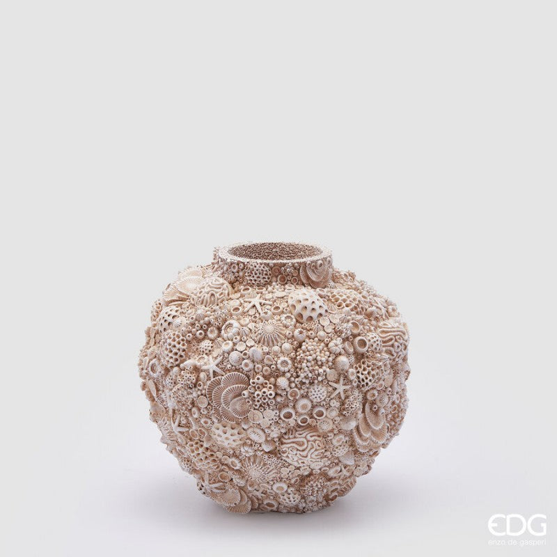 Vaso Conchiglie Champagne | Enzo De gasperi