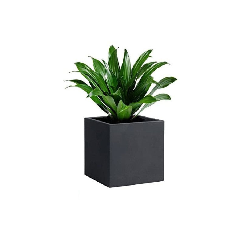 Vaso quadrato 50 cm Momus Nicoli