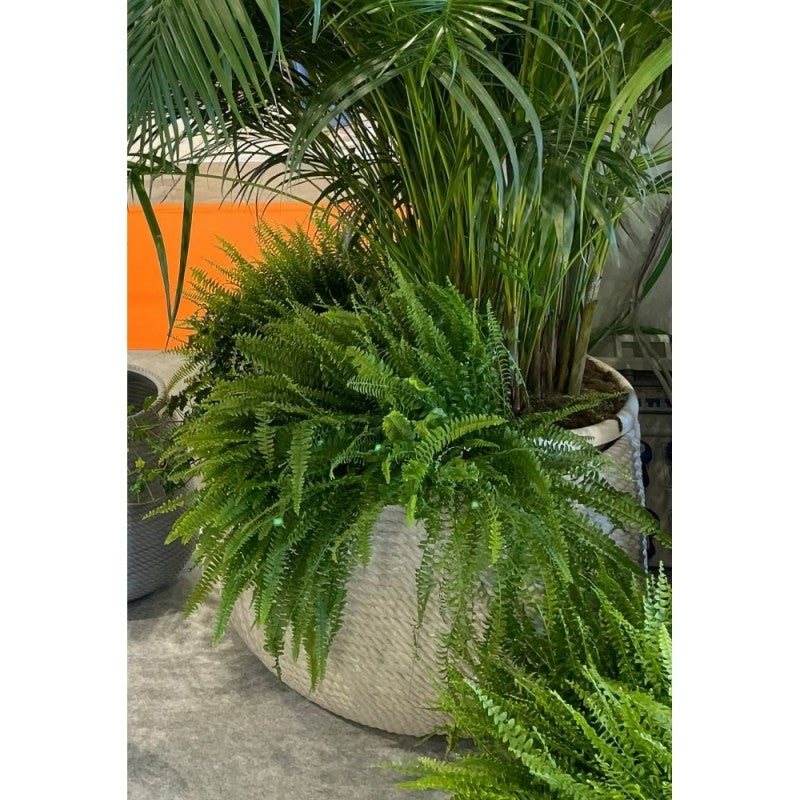 Vaso Urbano Bali  effetto corda 78 cm