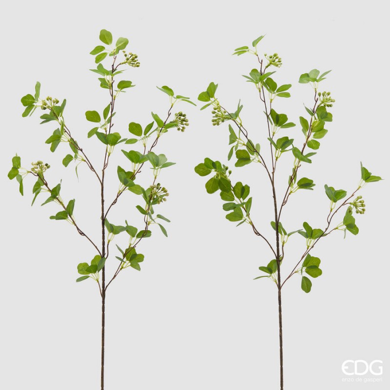 Viburno Ramo X5 con bacche H.90| EDG