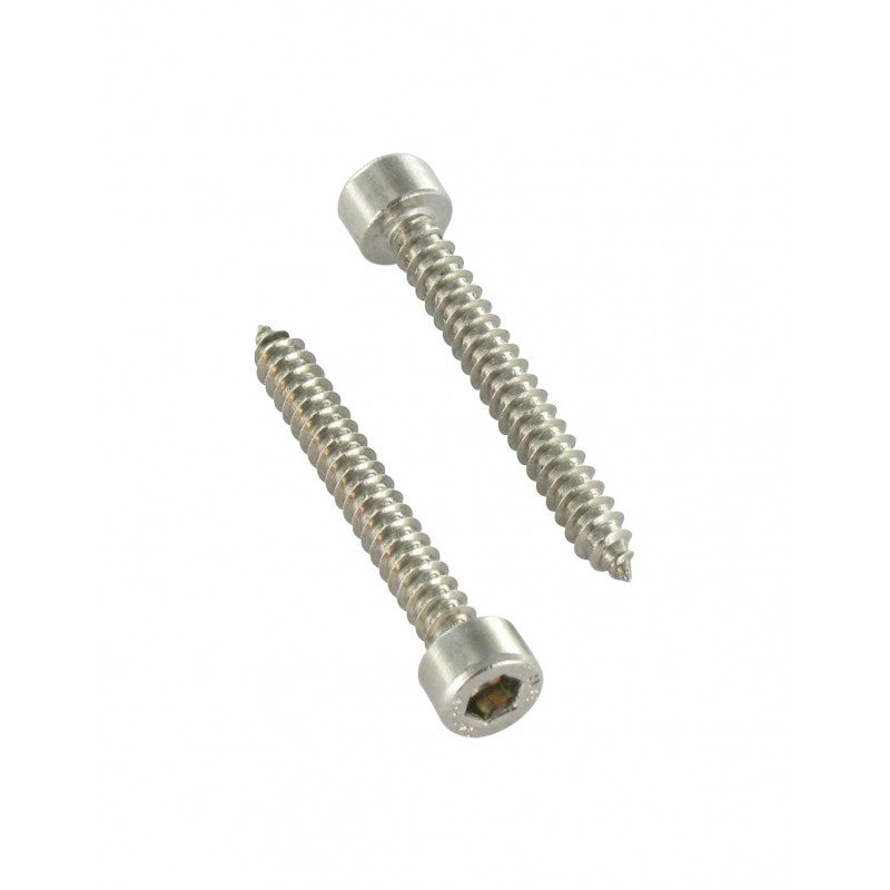 Viti Autofilettanti Testa Cilindrica Esagono Incassato 4,8mm